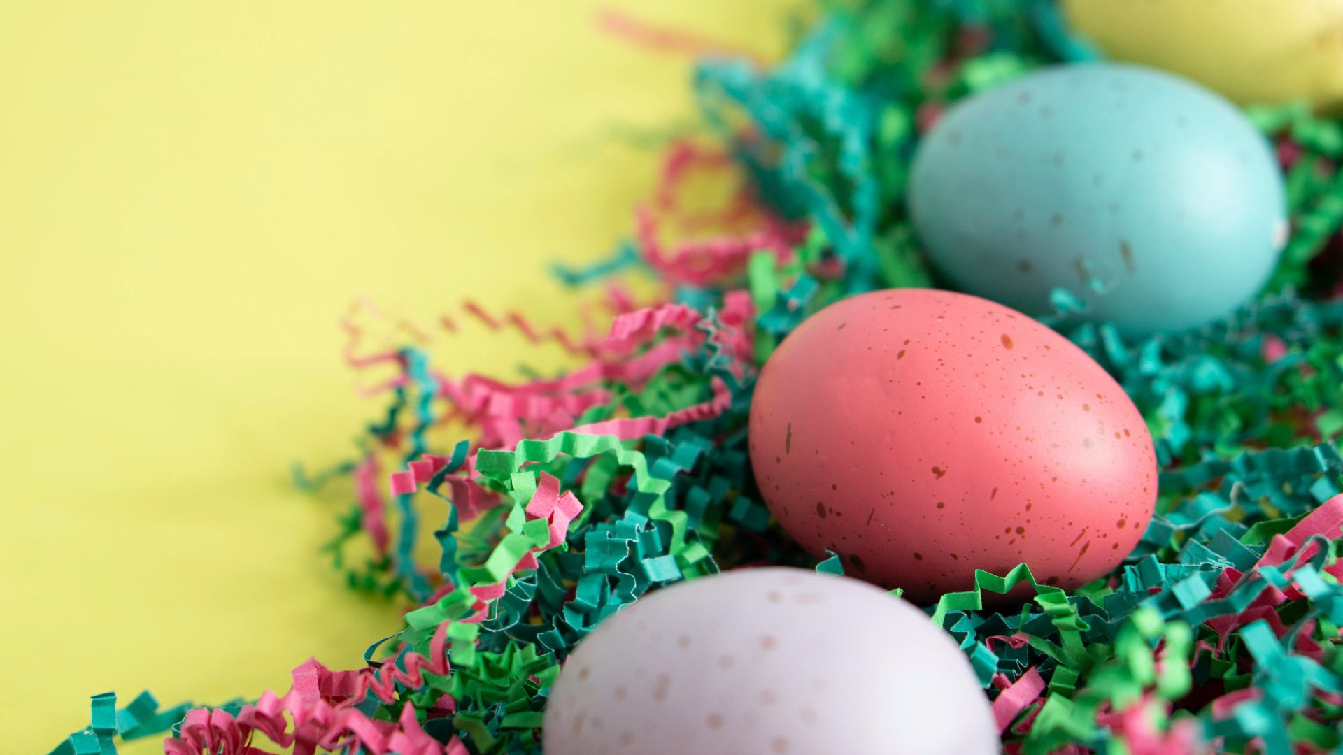 Planlæg din påskeferie i Aalborg 2026. Find de bedste events, familieaktiviteter og oplevelser i Aalborg i påskeferien 28. marts - 6. april 2026.