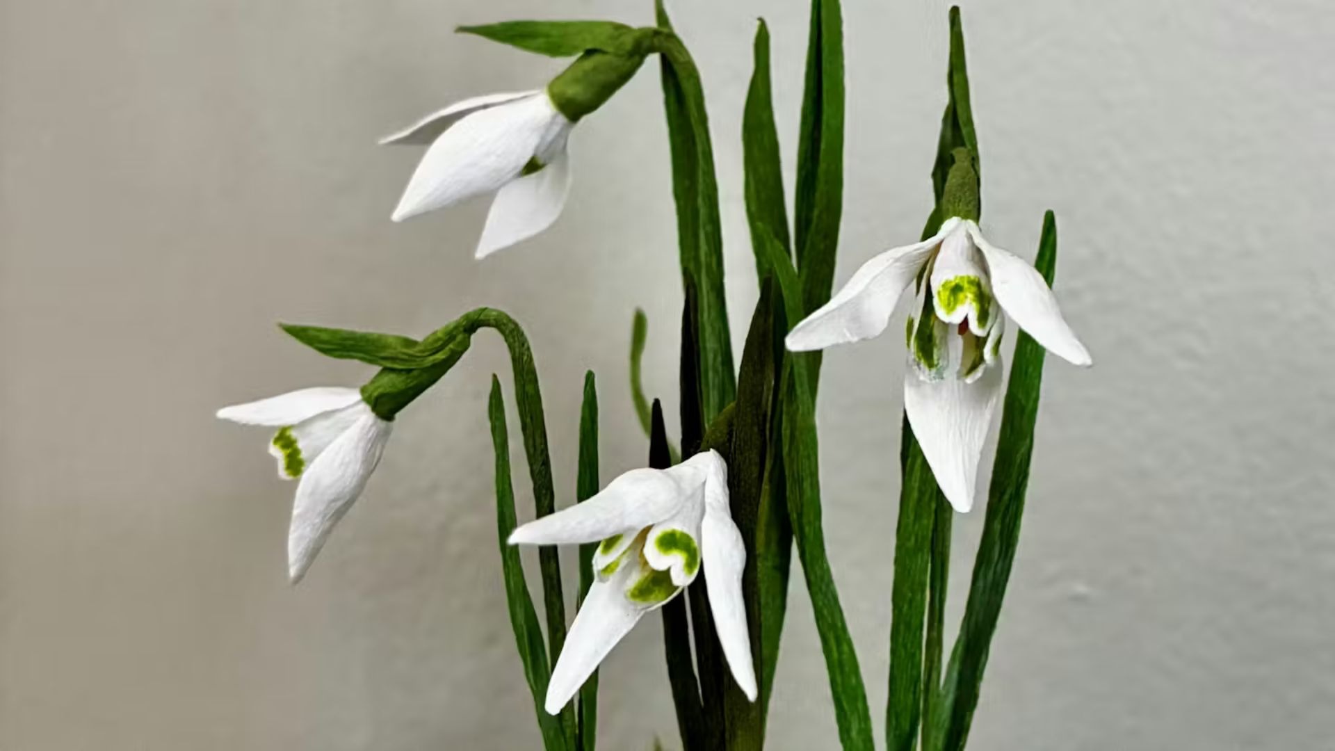 Blomster lavet af crepepapir