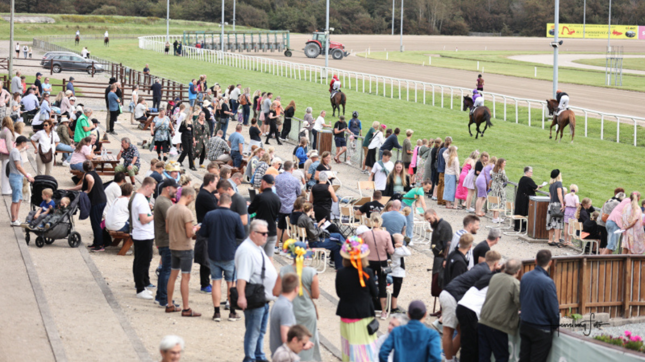 Fredagsfesten på Aalborg Væddeløbsbane byder på hestevæddeløb, fart og fest med trav og galop på udvalgte fredage i 2026. Oplev løbene live. Se datoer.