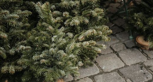 Der er ti julemarkeder i København, og de er ikke det samme. Se hvilke der ligger på stribe, hvilke der kun er åbne en weekend, og hvor skøjterne er gratis.