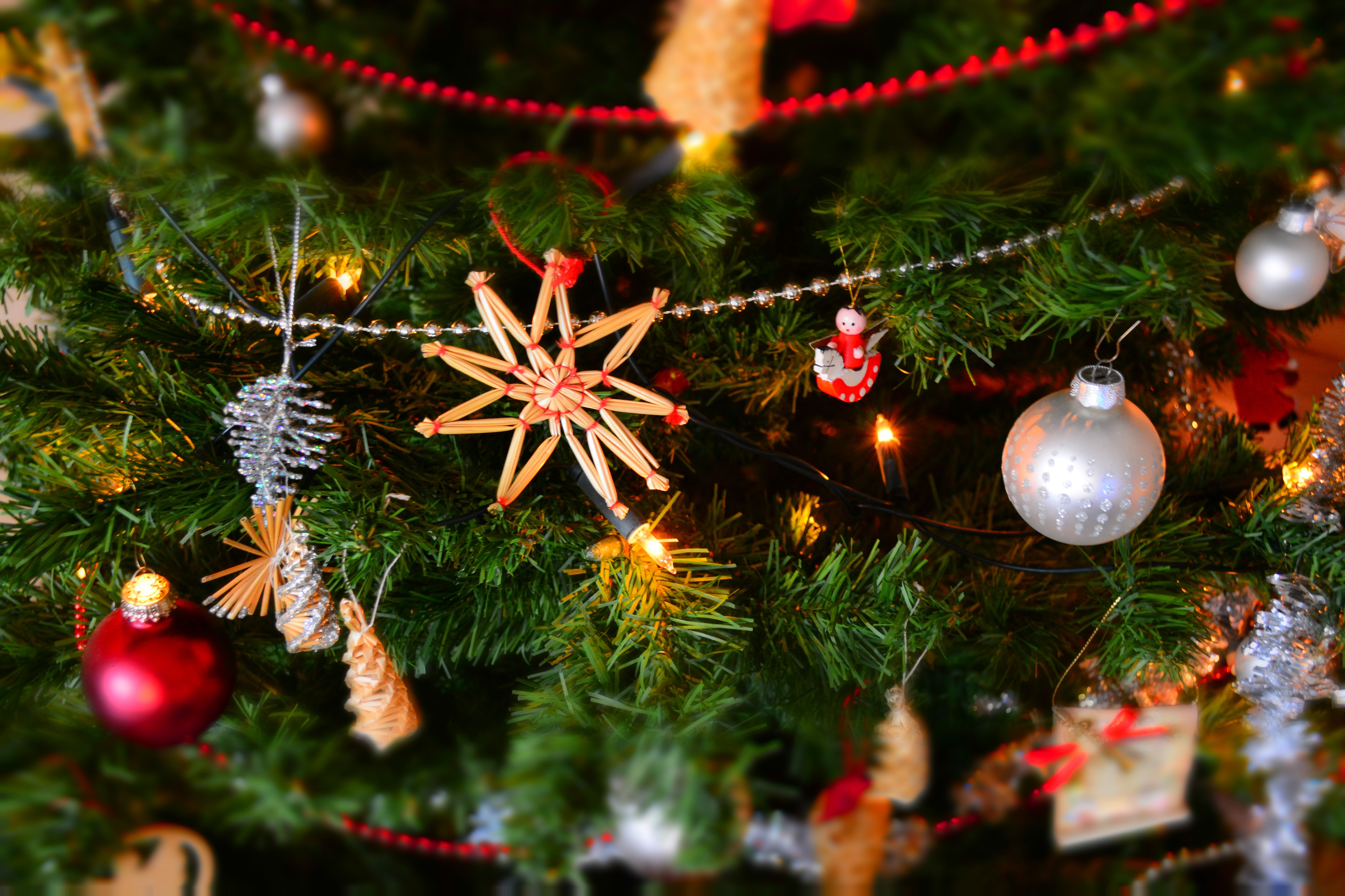 Salling Christmas Garden åbner 13. november på taget i Aarhus og holder gratis åbent til 3. januar. Se hvad der er nyt i år, og hvornår du kan komme. 