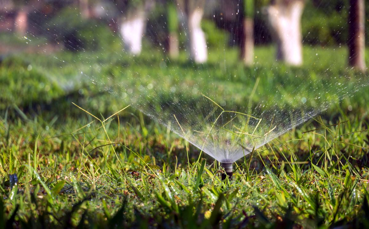 Sprinkler watering a backyard lawn in the sun