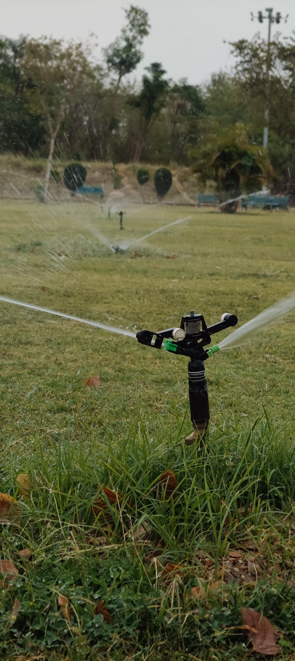 Rotor sprinkler covering a lawn on an overcast day