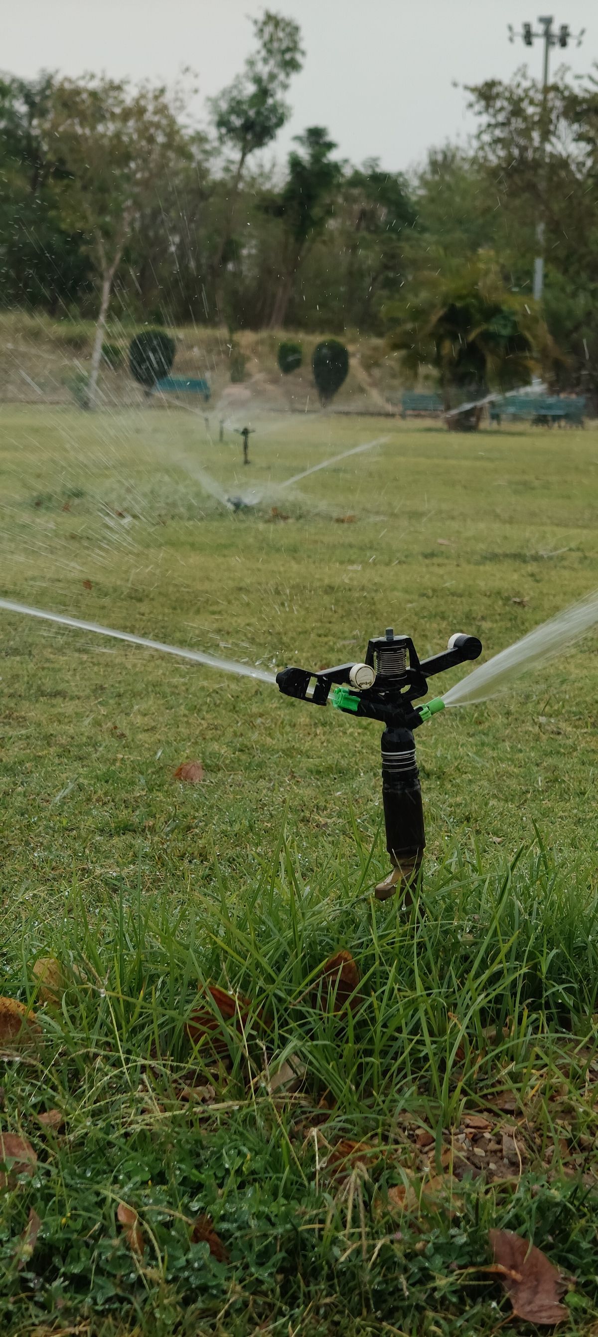Rotor sprinkler covering a lawn on an overcast day