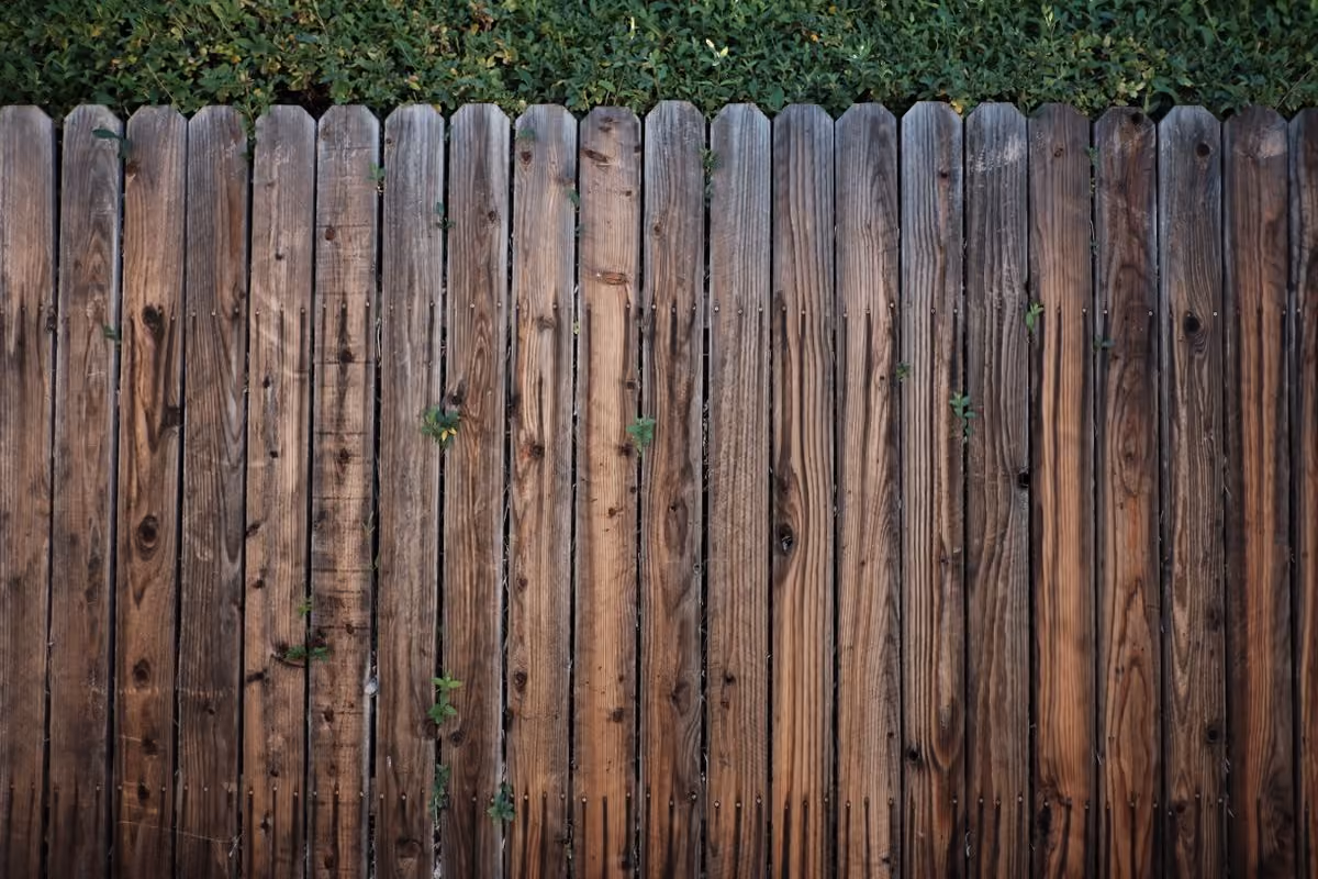 Wood fence with greenery along the boards
