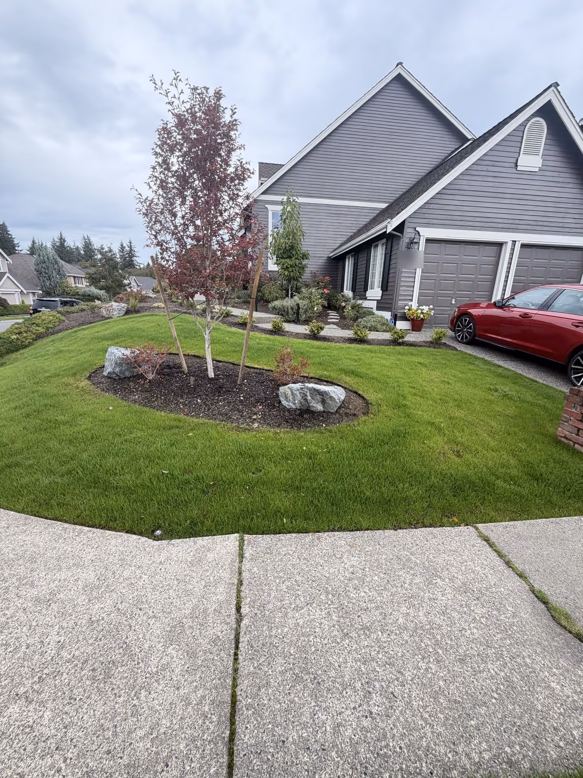 The same front lawn green and even 15 days later, September 24