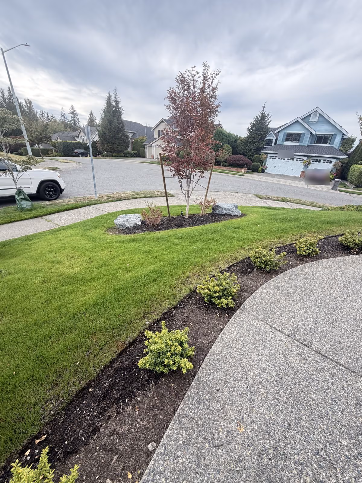 Green front lawn and planted beds along a curved driveway