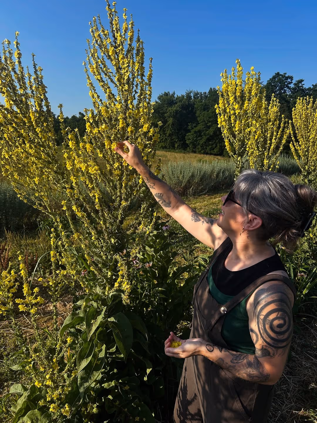 Jan picking food