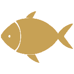 Allergeni: Pesce
