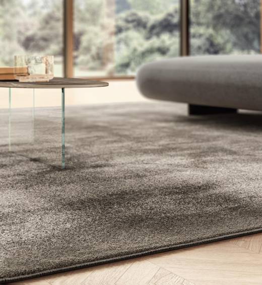 Nettoyage de tapis