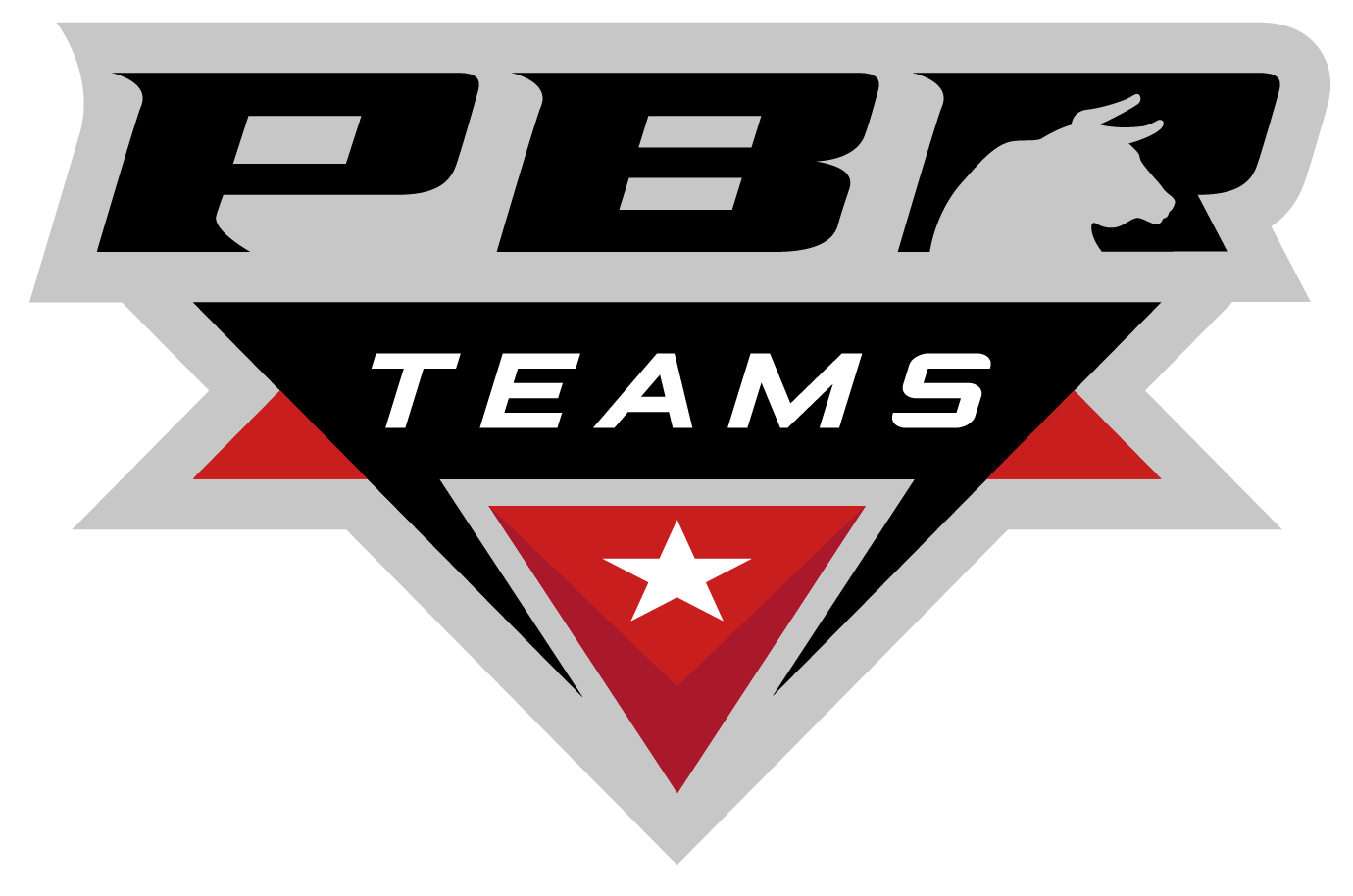 PBR Teams