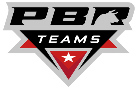 PBR Teams