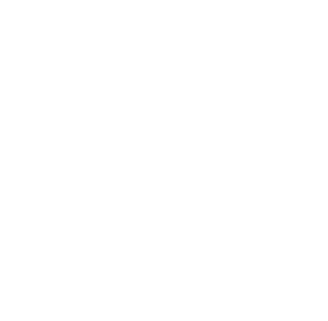 Raw Elements logo