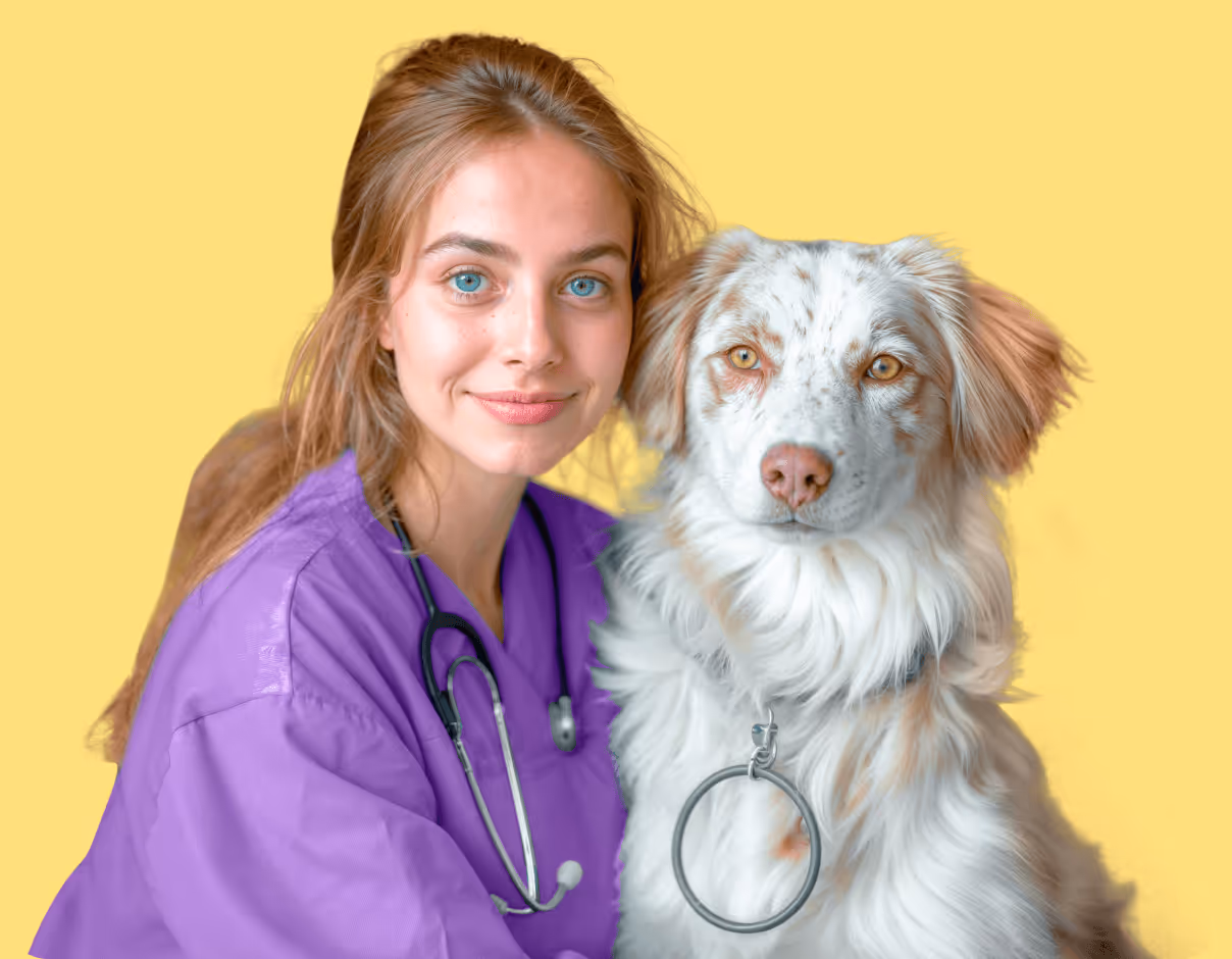 Story Behind Our Vet Practice  Image - Pet X Webflow Template