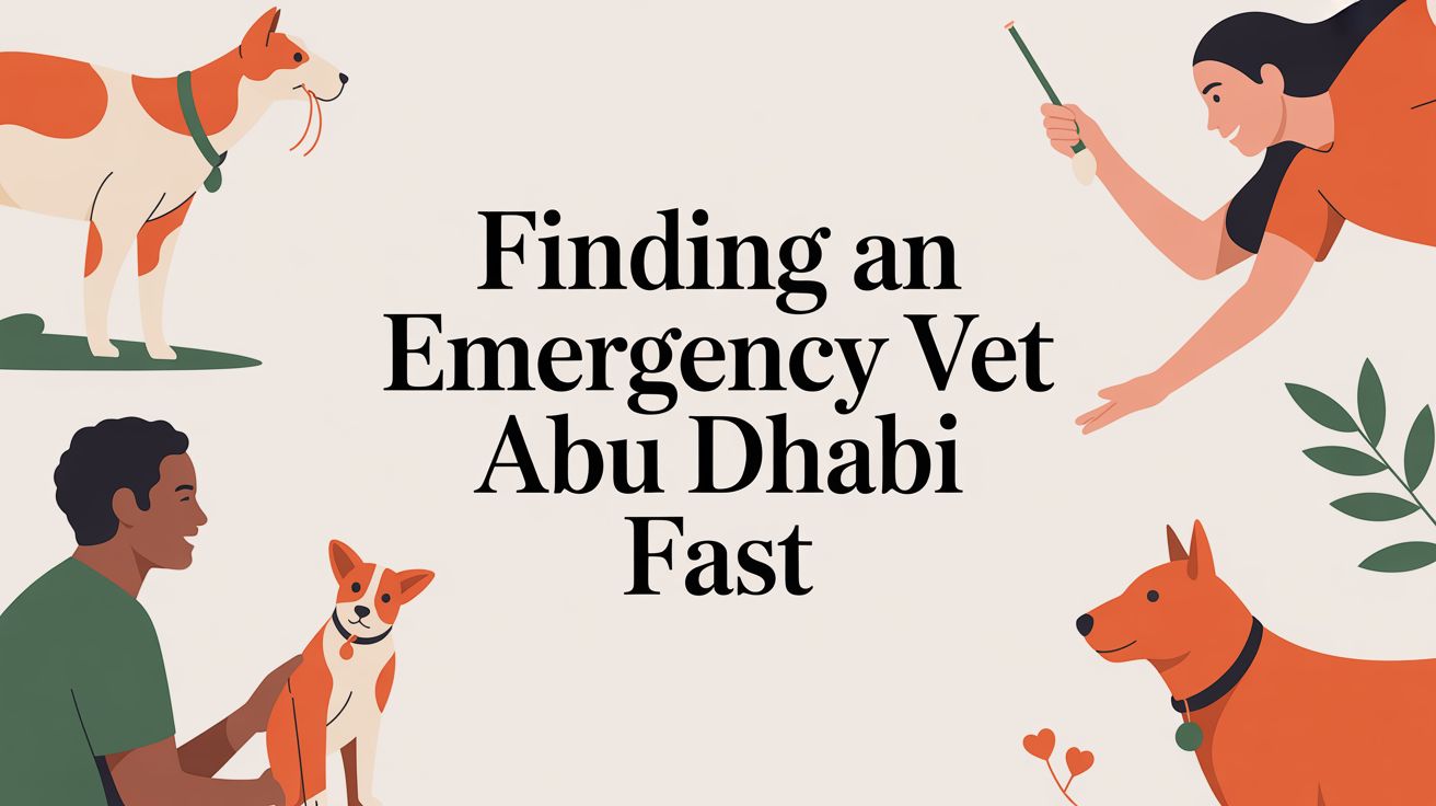 Finding an Emergency Vet Abu Dhabi Fast