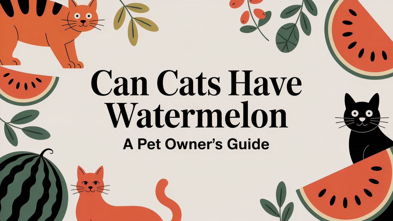 Can Cats Have Watermelon A Pet Owner's Guide