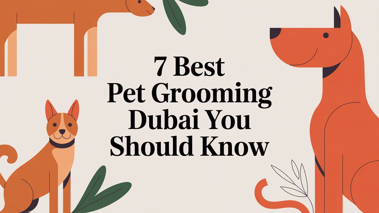7 Best pet grooming dubai You Should Know
