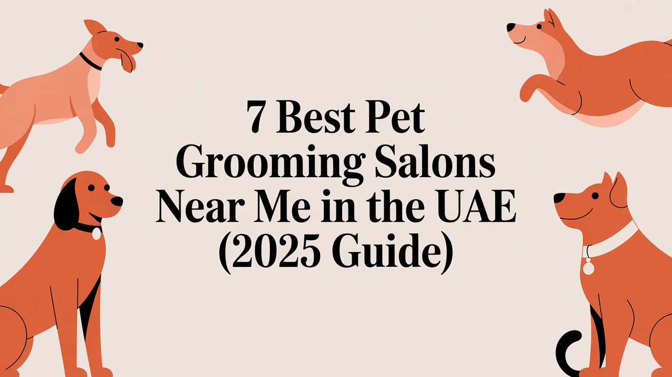 7 Best Pet Grooming Salons Near Me in the UAE (2025 Guide)