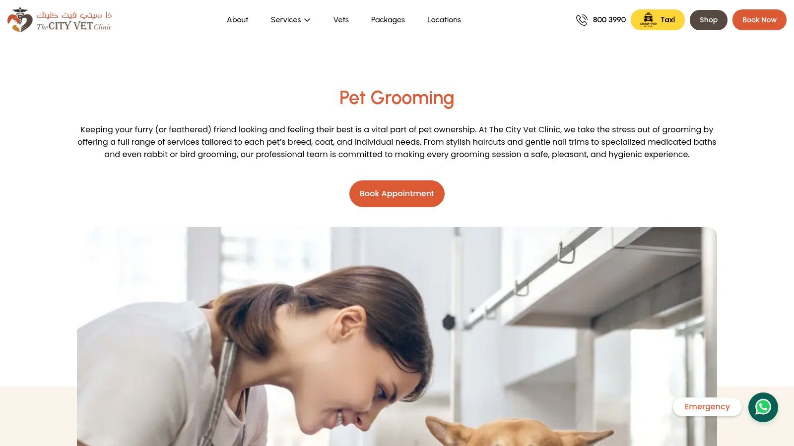 Pet Grooming | The City Vet Clinic