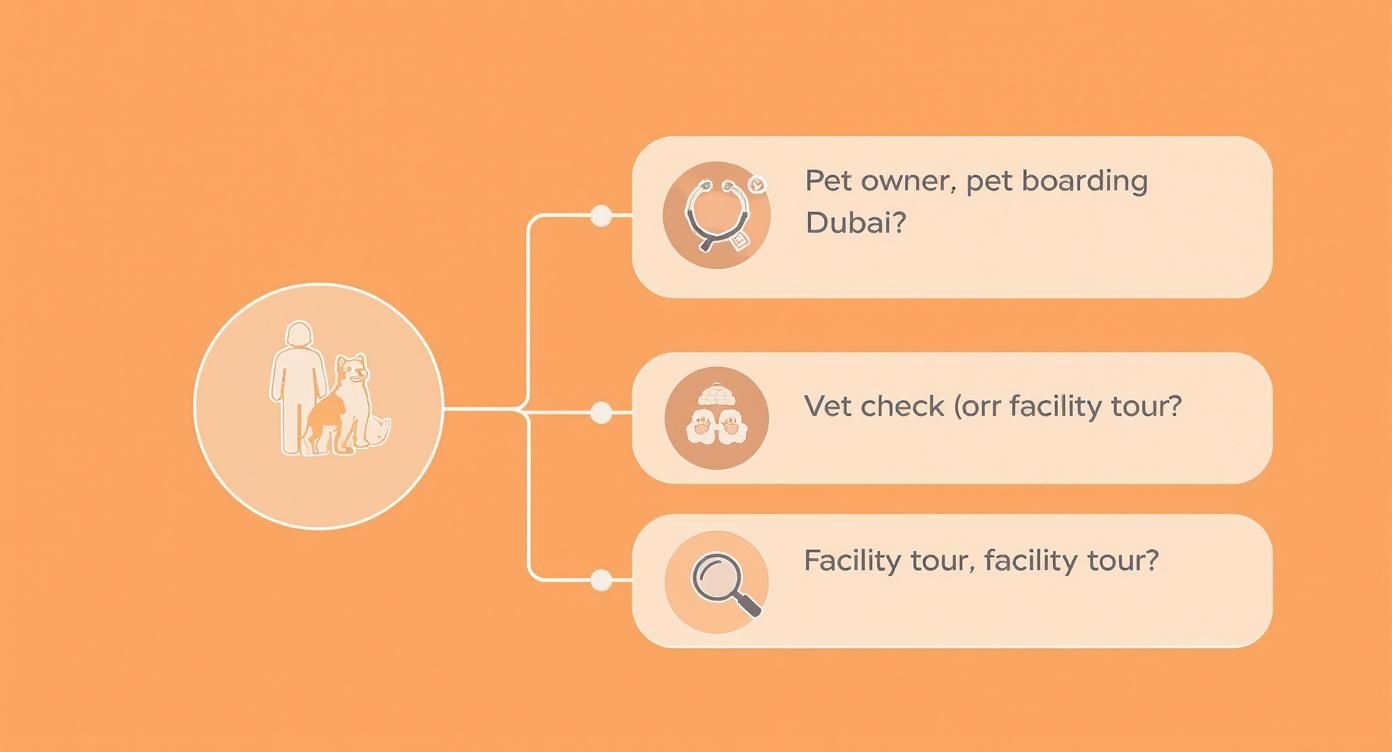 Infographic about pet boarding in dubai