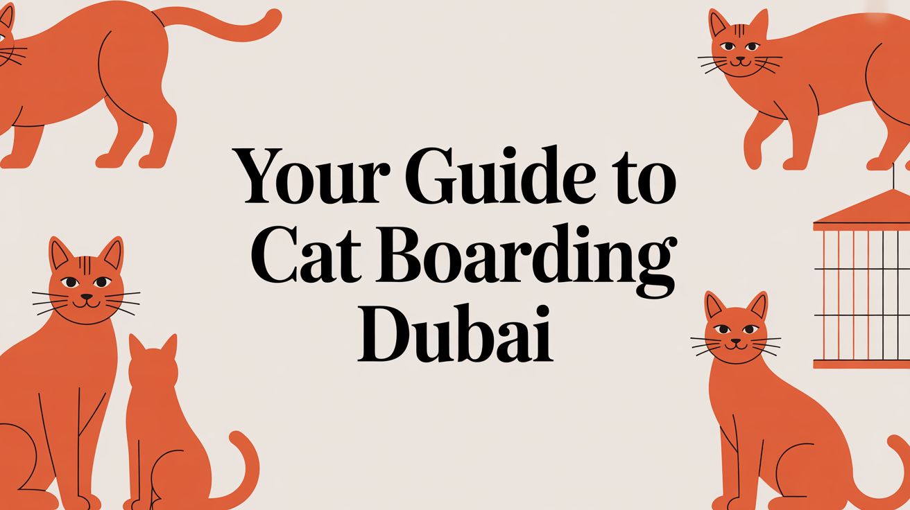 Your Guide to Cat Boarding Dubai