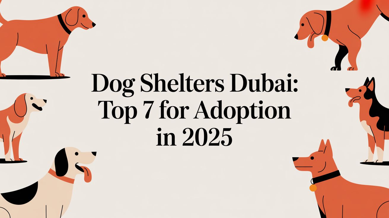 dog shelters dubai: Top 7 for Adoption in 2025