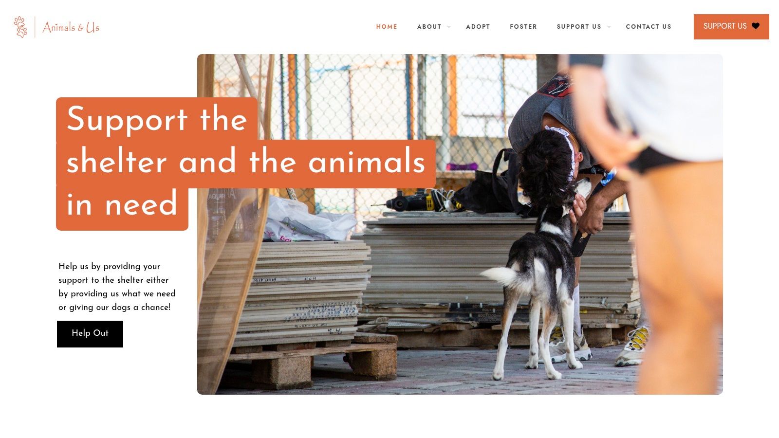 Animals & Us Fujairah (AAUF)