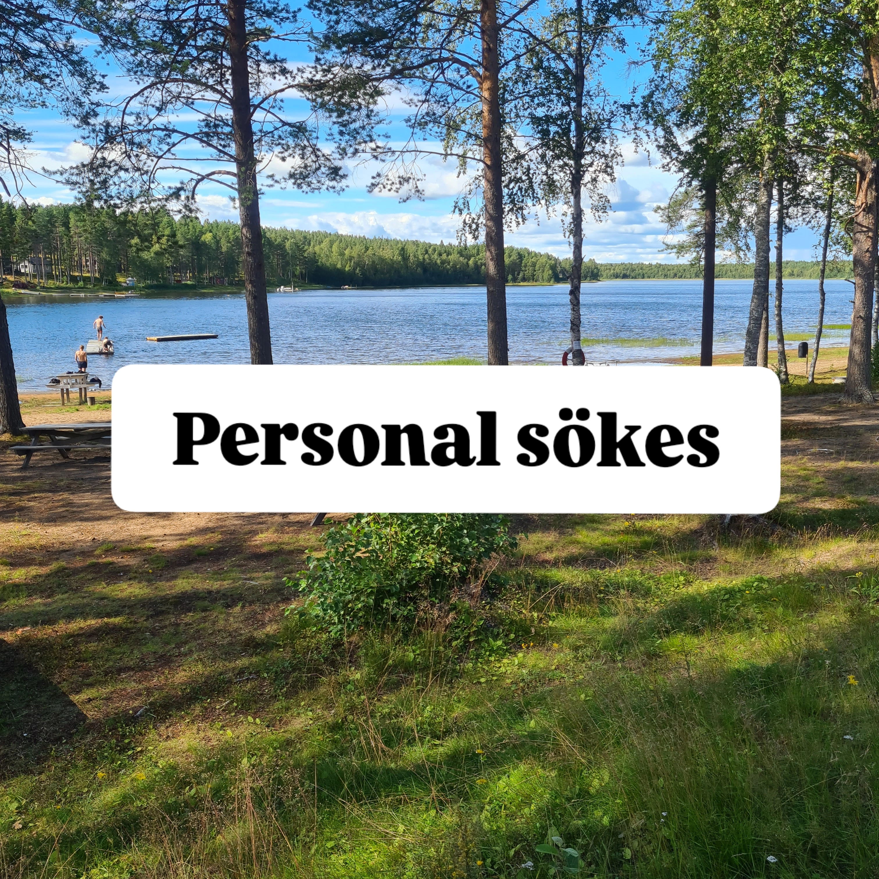 Jobbansökan sommaren 2026