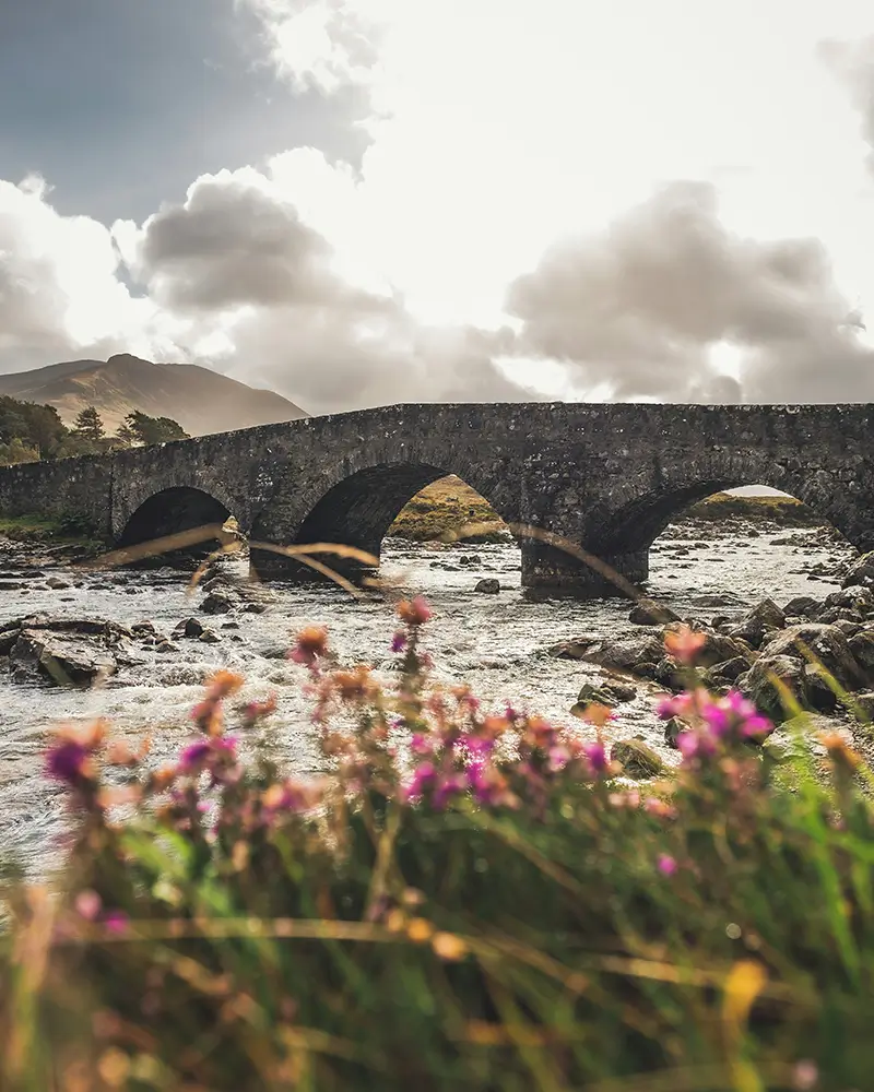 Stone arch bridge over flowing river with pink flowers and mountains under cloudy sky.