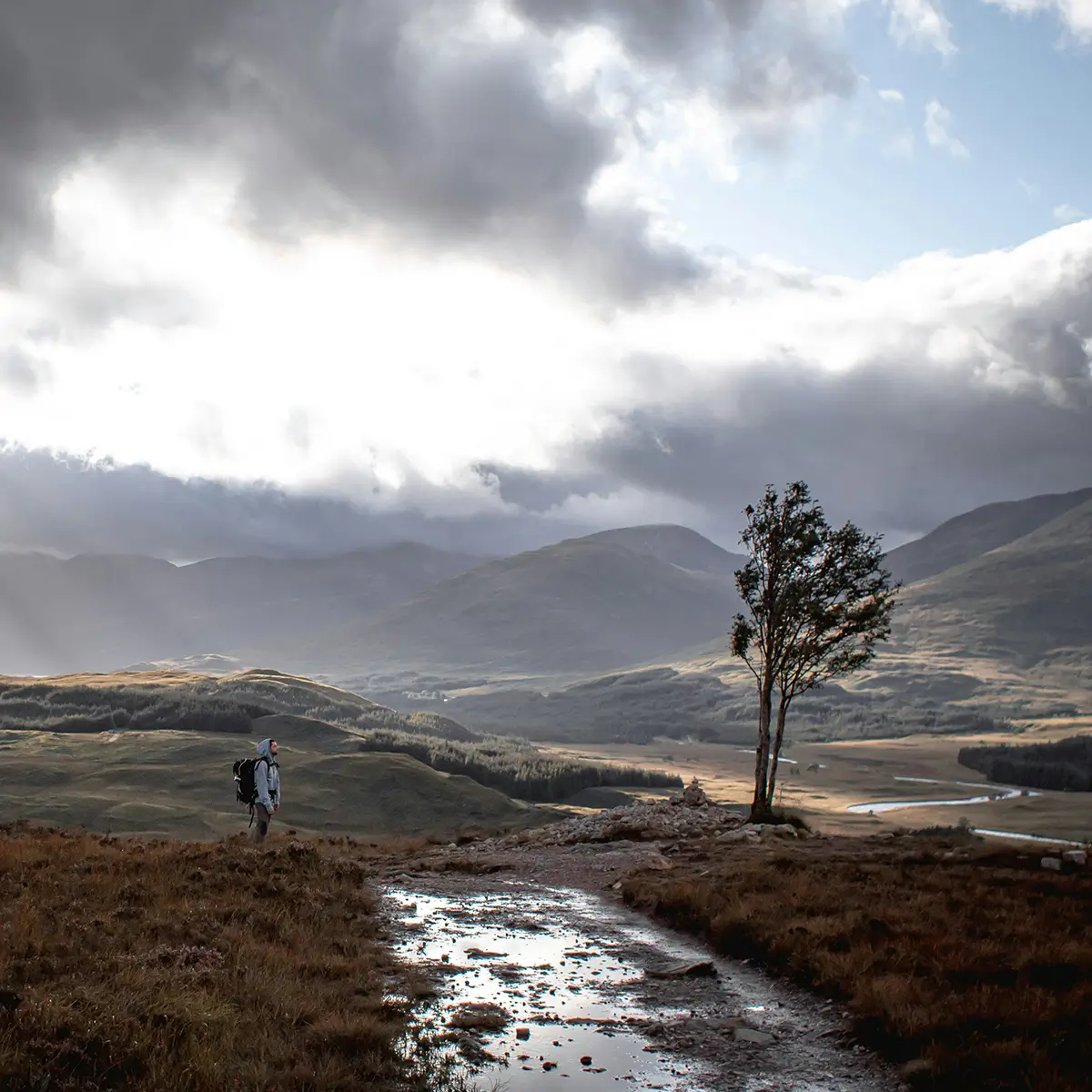 Hiker standing on a wet trail facing a lone tree with mountains under cloudy sky in the background.