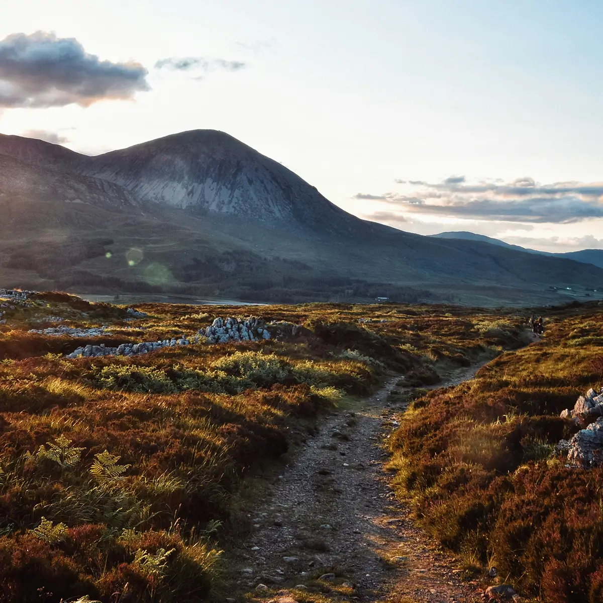 A rugged dirt path winds through moorland with a mountain in the background under a cloudy sky.
