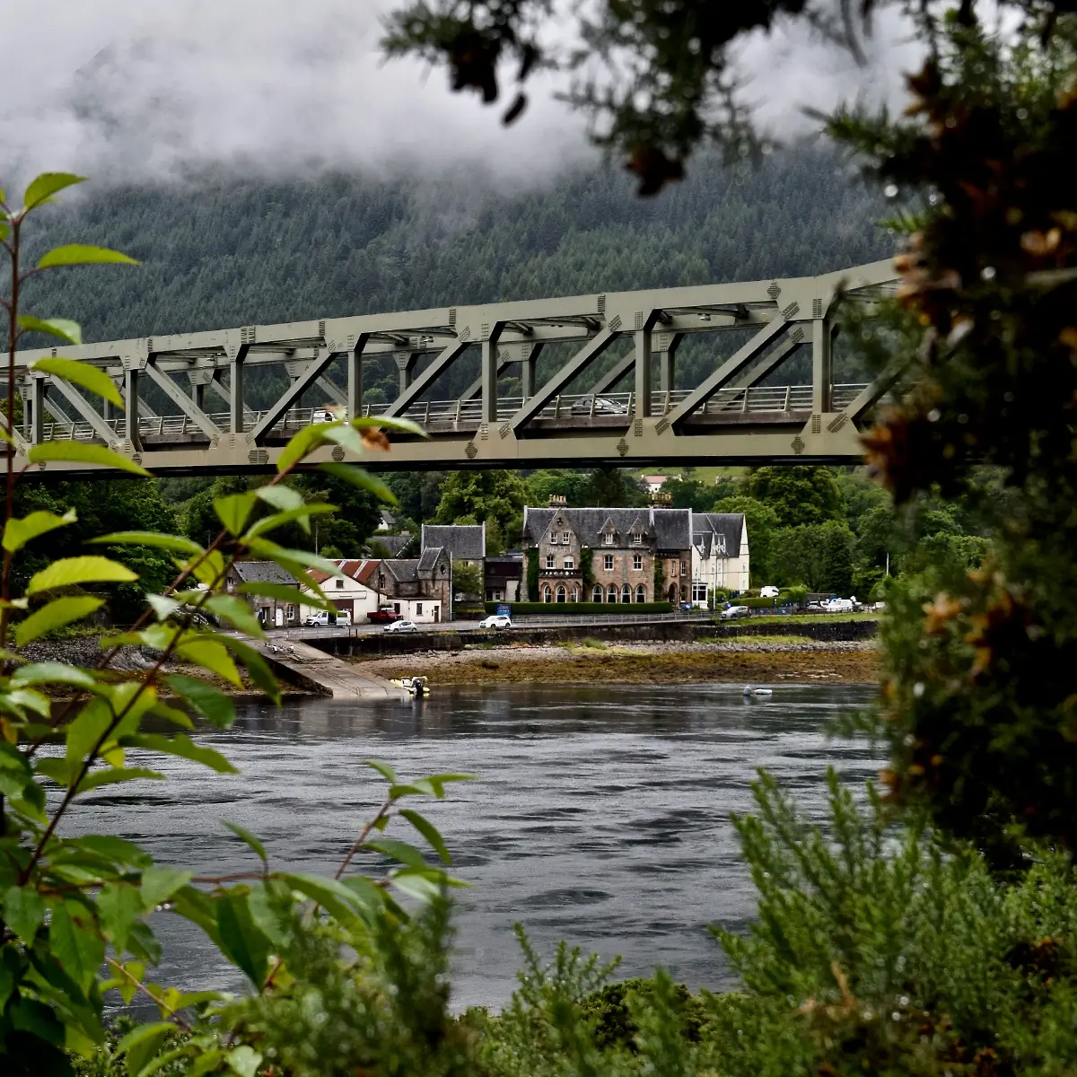 Steel bridge over a river with cars, framed by green plants and misty forest hills in the background.