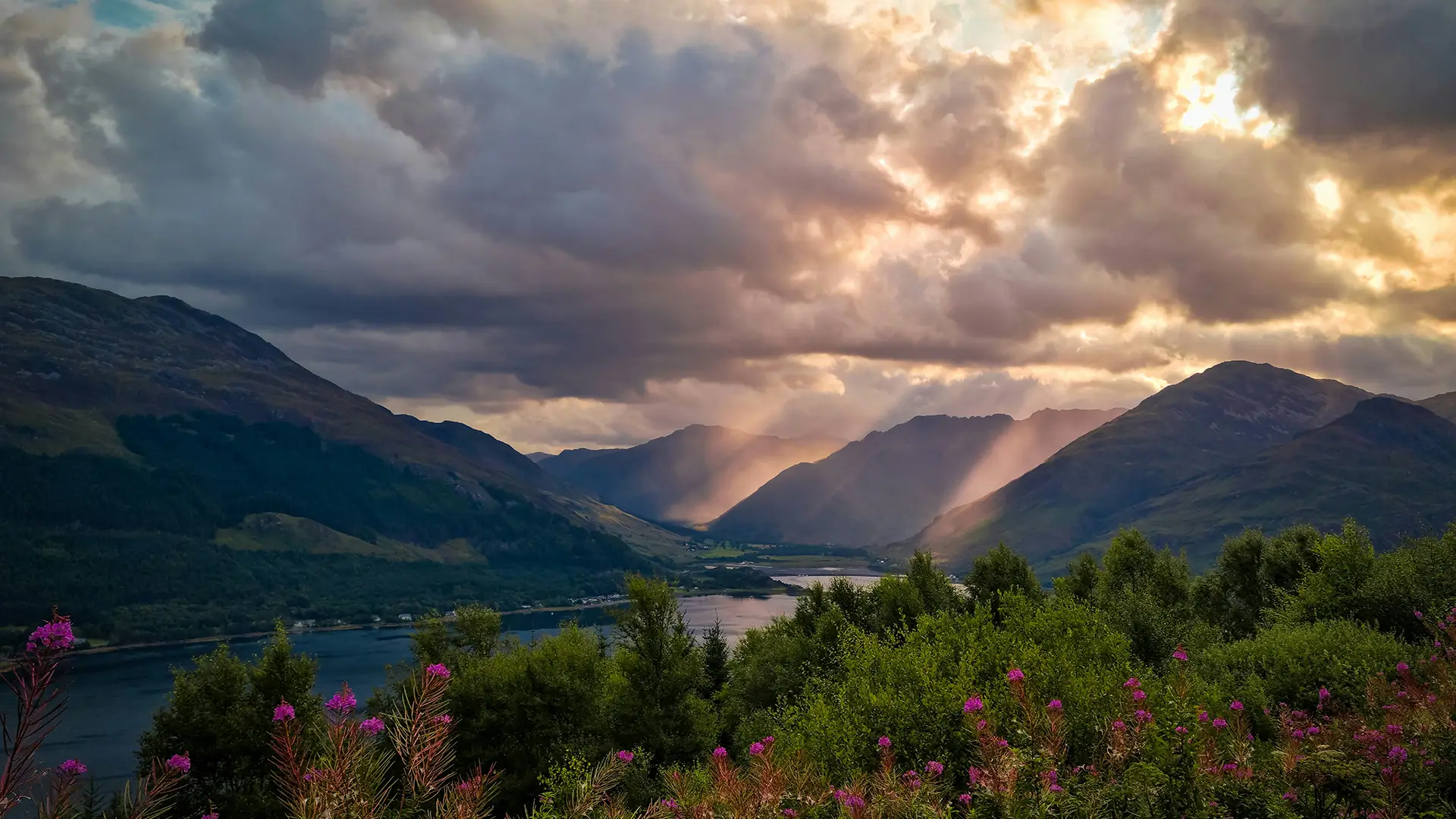 Sun rays break through clouds over mountains and a lake with green trees and purple flowers in front.
