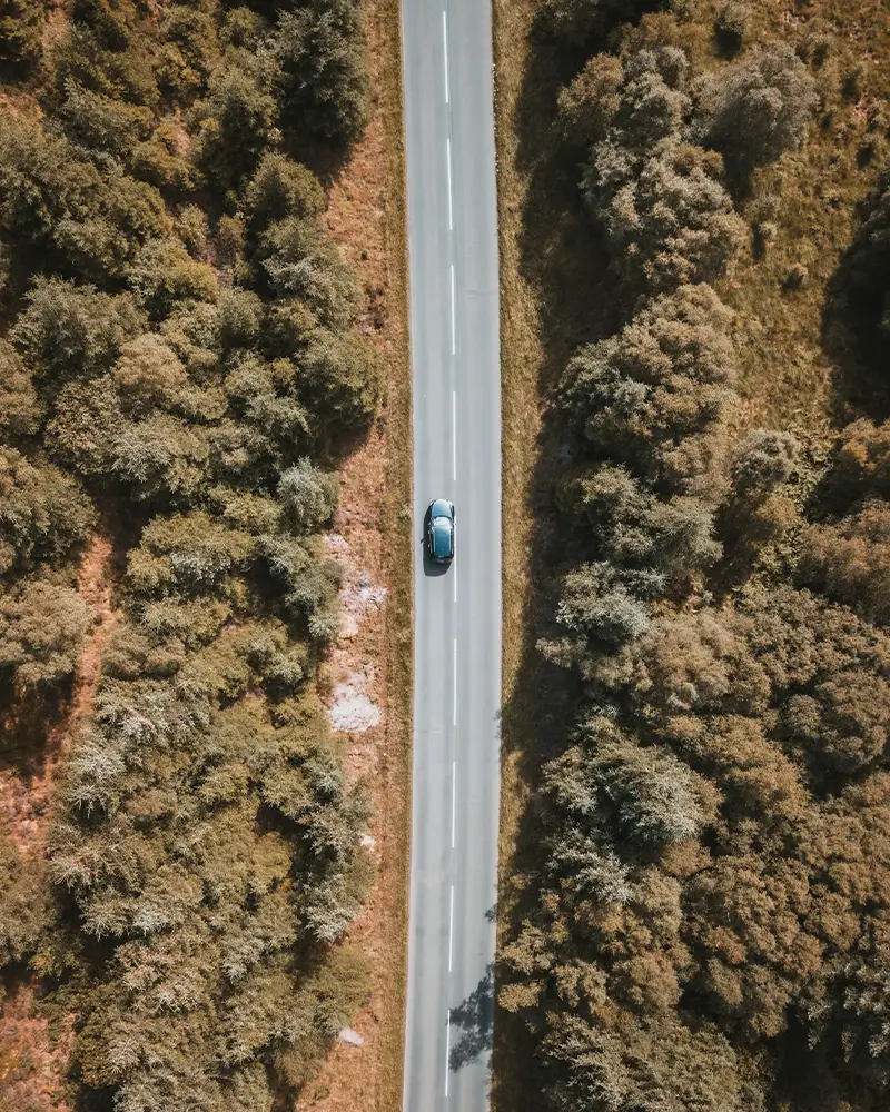 A lone car driving straight on a narrow road through dense forest seen from above.