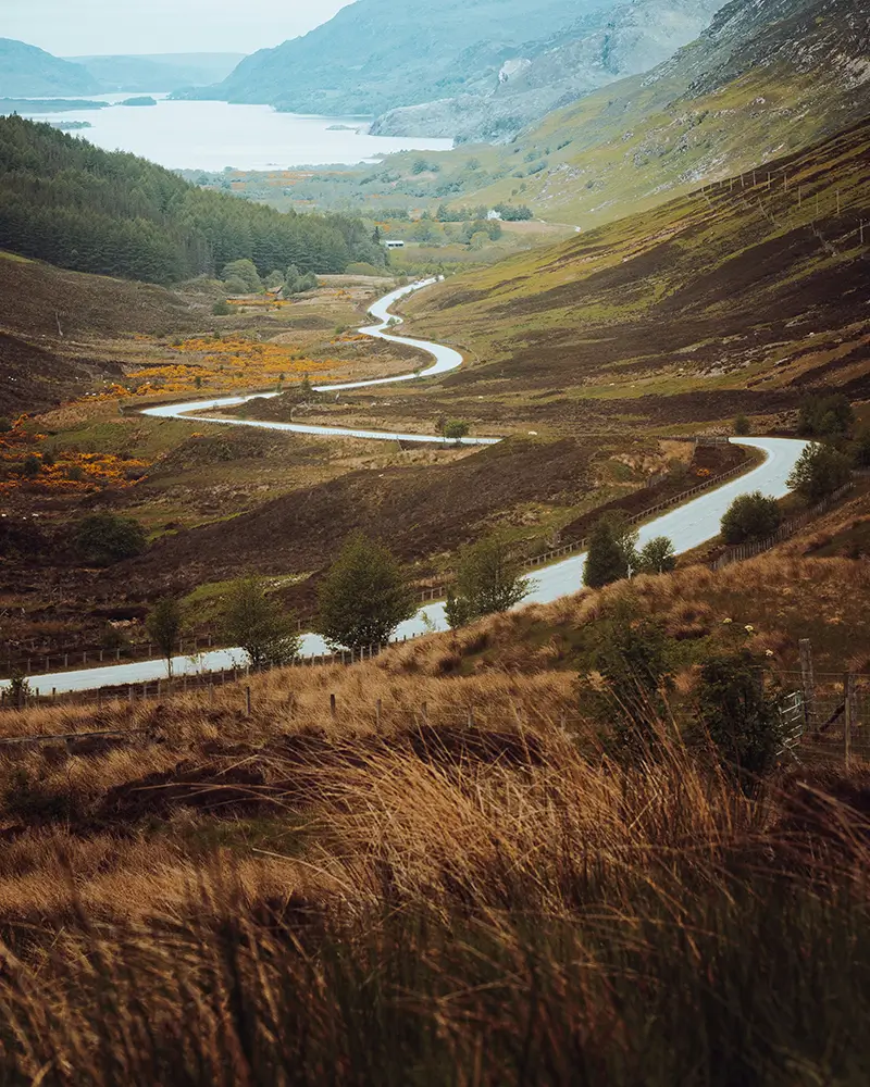 Winding road through a brown and green hilly landscape with trees and a distant lake.