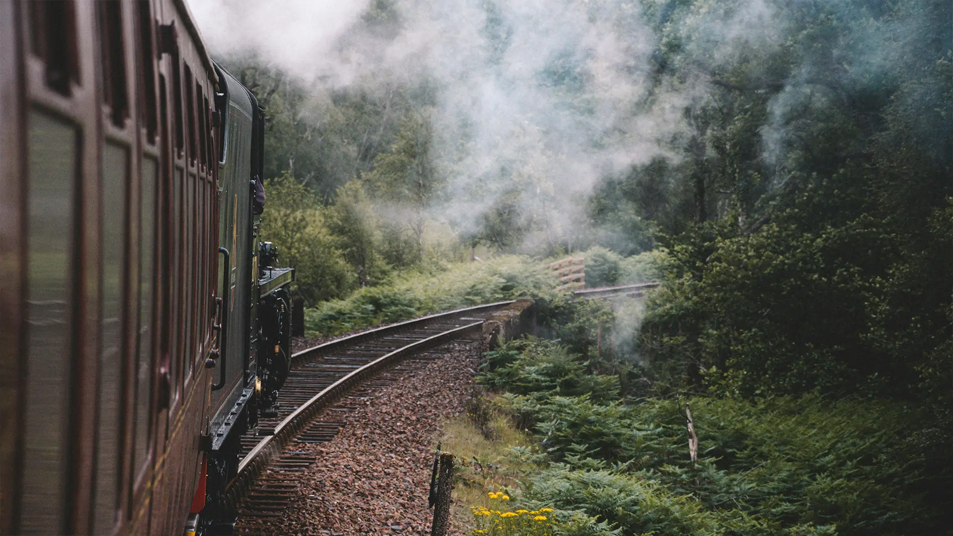 Side view of a steam train moving on a curved track through a lush green forest with smoke rising.