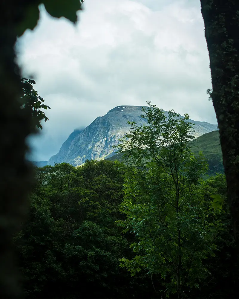 Mountain peak seen through a frame of trees under cloudy sky in a green forest.