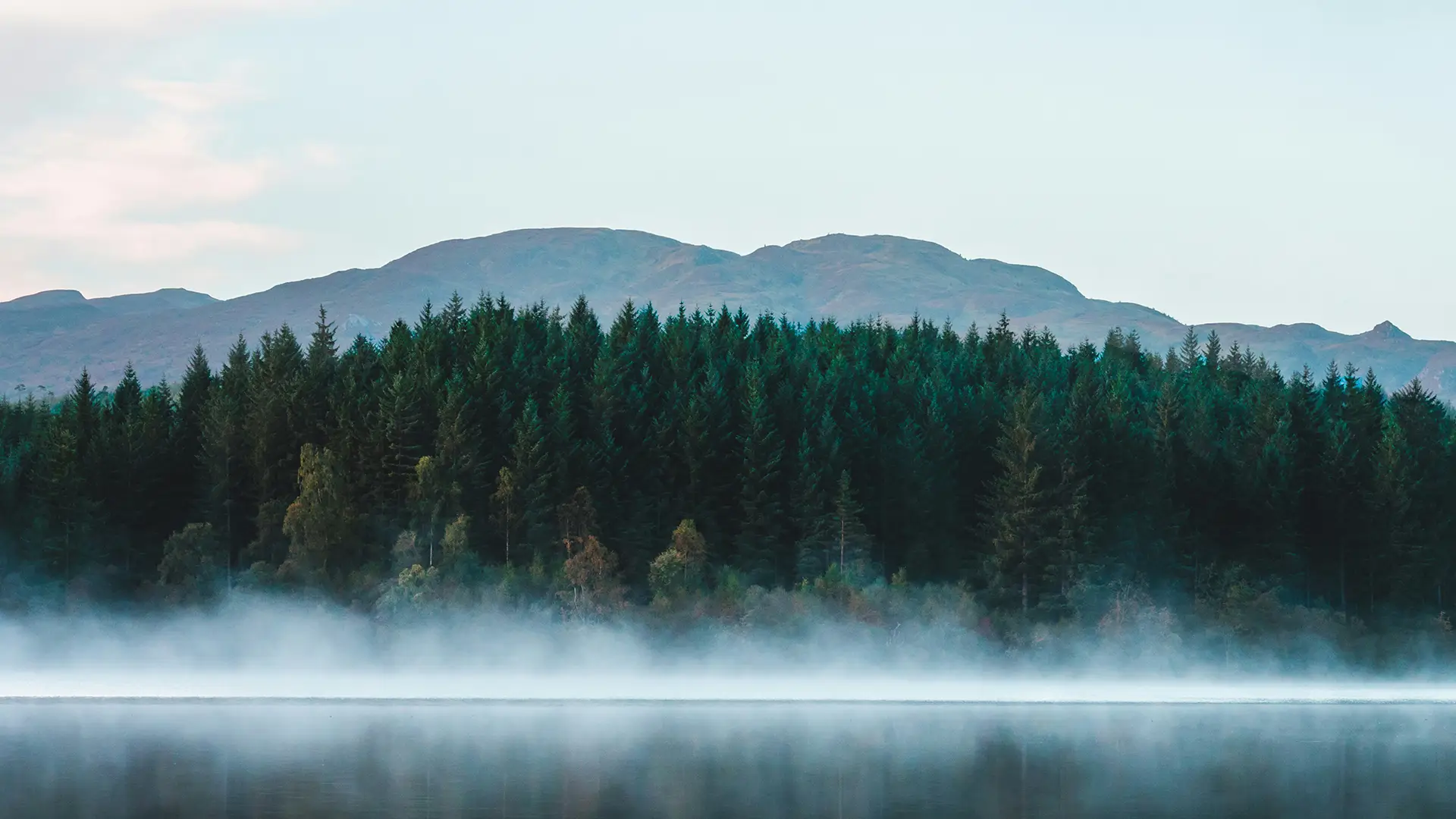 Lush green hills and forest under a partly cloudy blue sky in a scenic rural landscape.