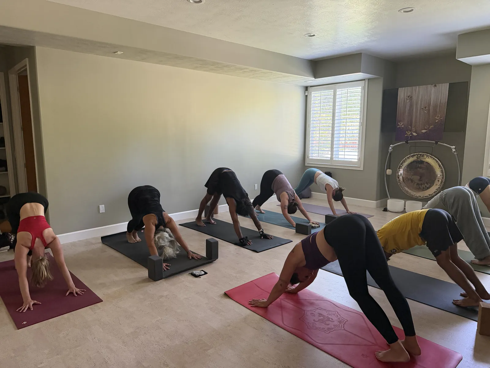 A teacher training cohort in downward dog at the YogaSoul shala