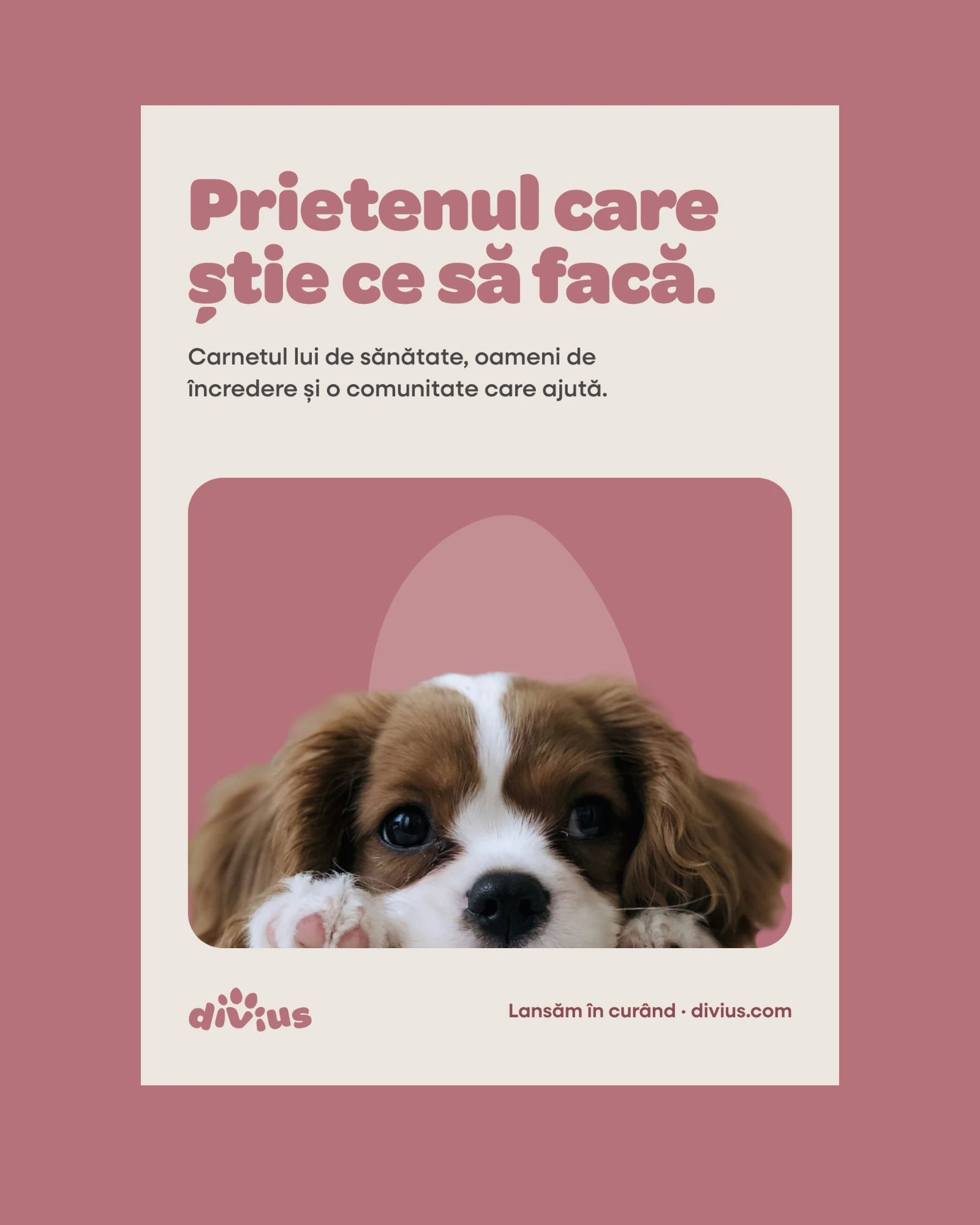 Divius launch poster on cream: the headline 'Prietenul care știe ce să facă.' above a spaniel puppy peeking over a rose panel, with the wordmark and 'Lansăm în curând · divius.com'.
