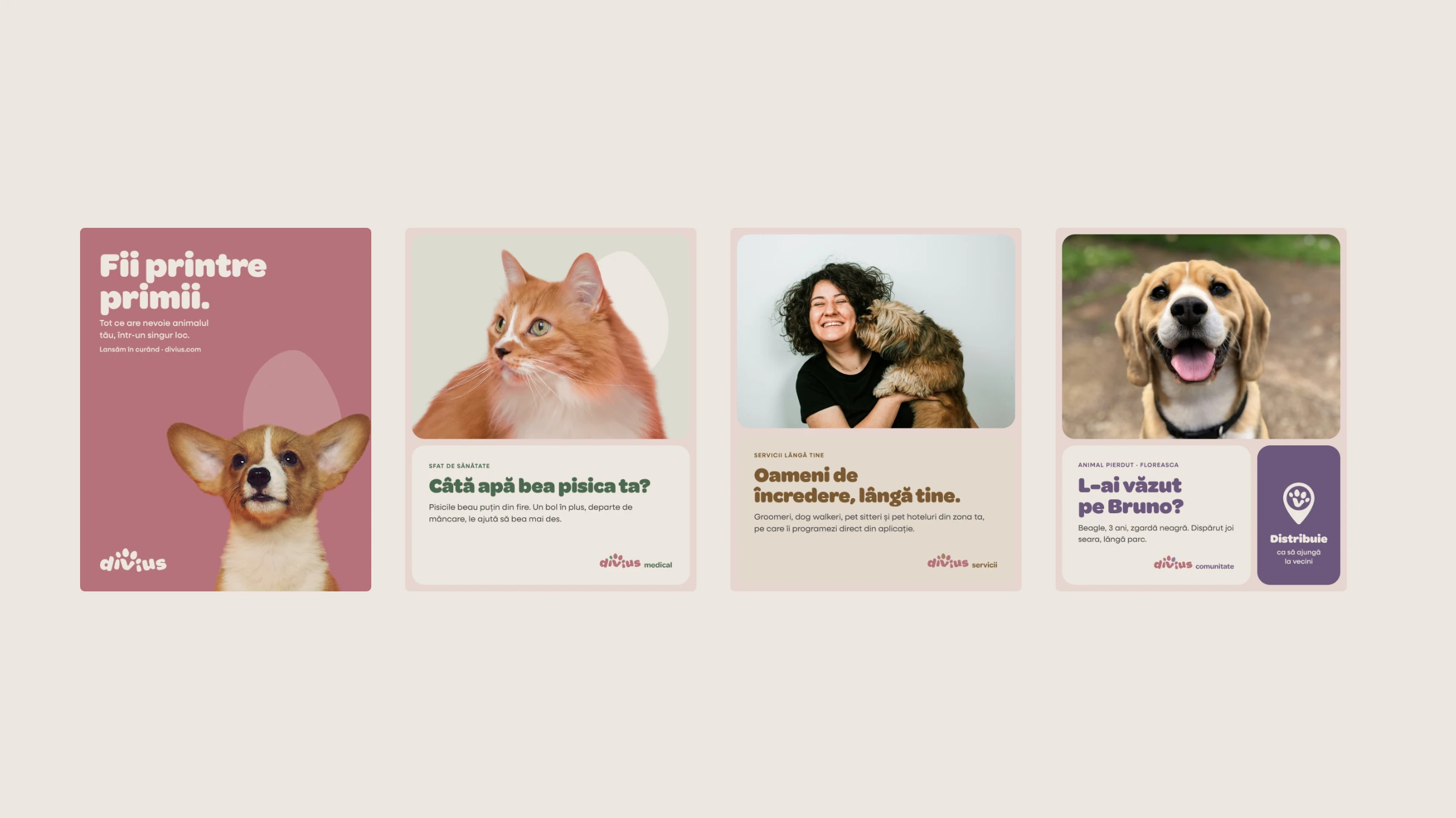 Four Divius launch posts in a row: 'Fii printre primii.' with a corgi, a cat-hydration tip for divius medical, trusted pet sitters for divius servicii, and a lost-dog alert for divius comunitate.