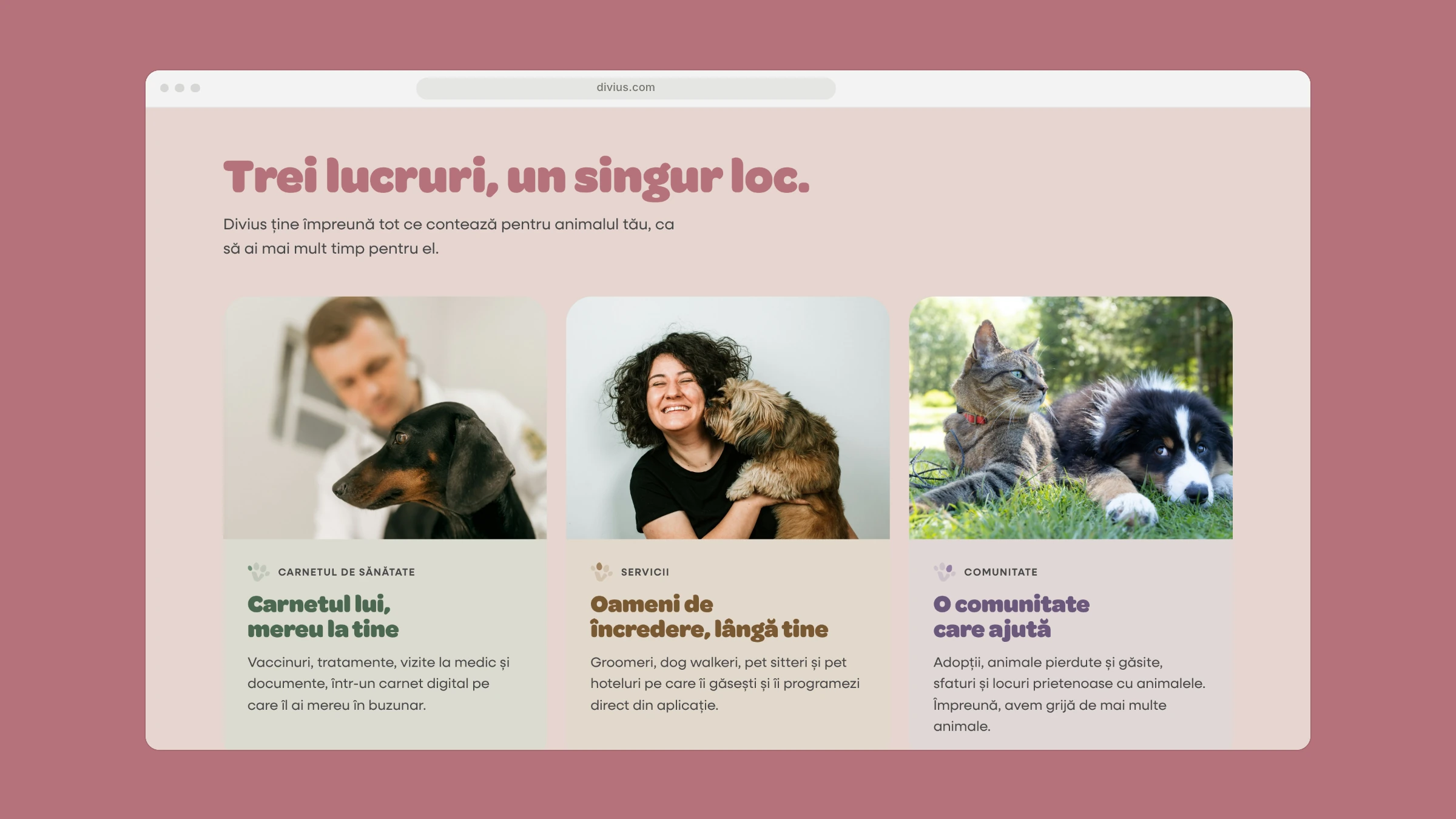 The Divius website prototype in a browser window: 'Trei lucruri, un singur loc.' with three photo cards for the health record, trusted people nearby and a community that helps.