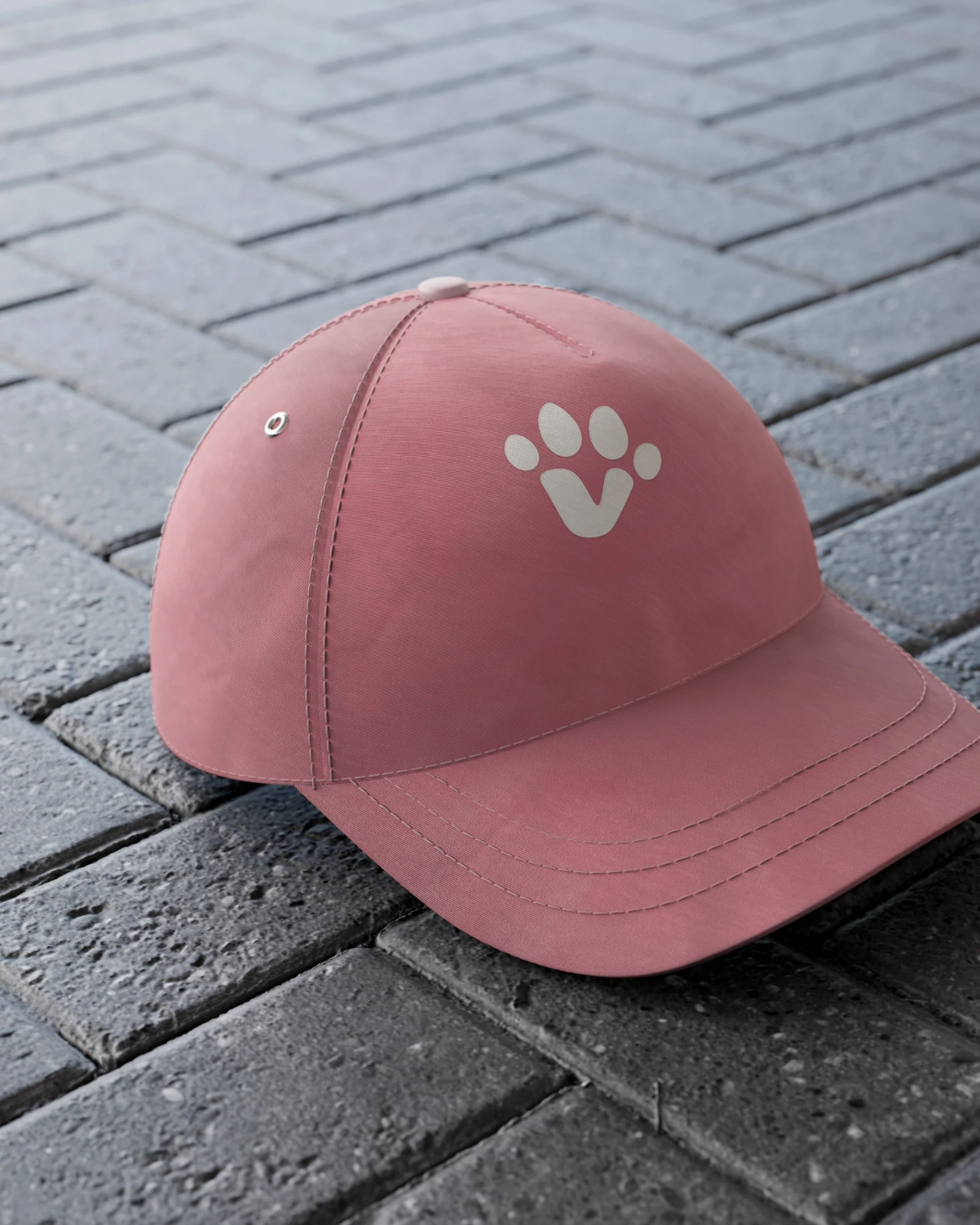 A dusty-rose Divius cap on dark paving, embroidered with the cream paw symbol.