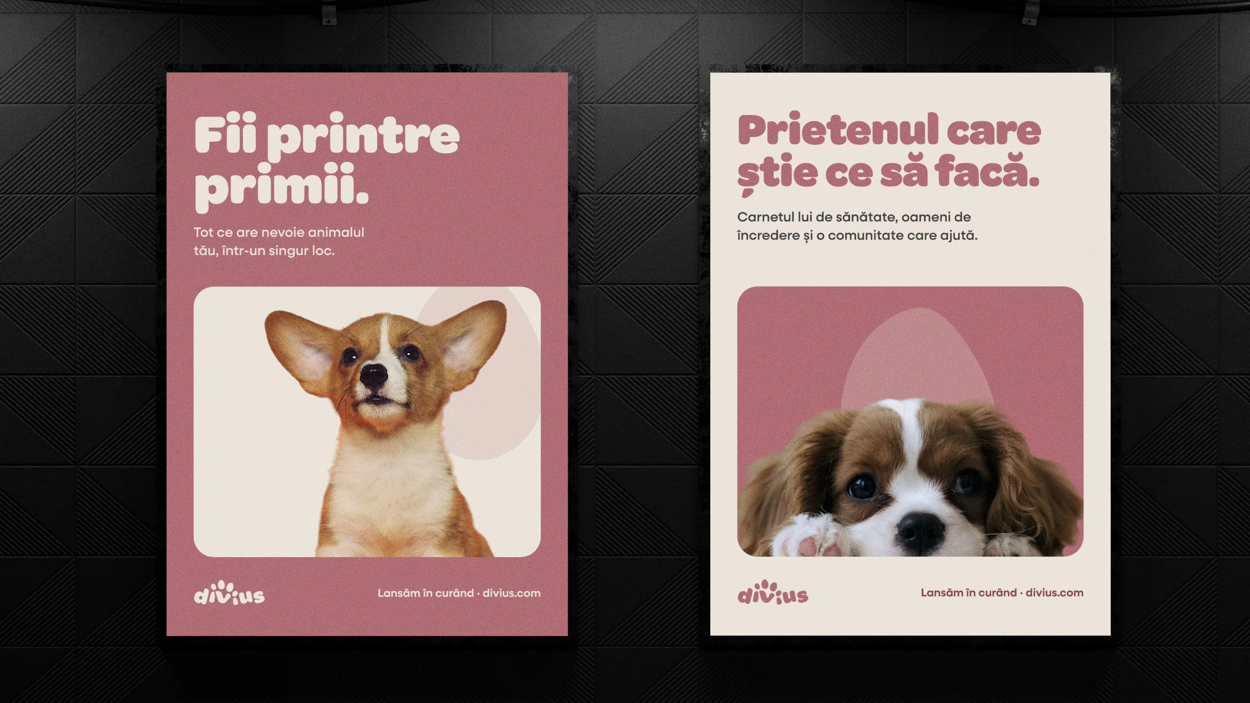 Divius