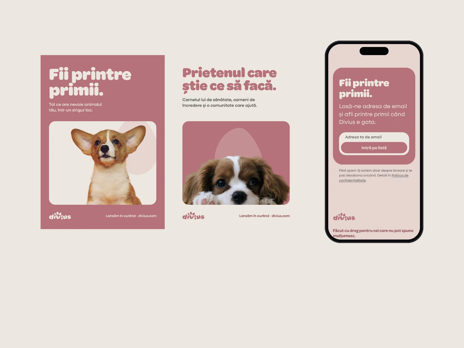 The Divius launch kit: the two launch posters and the website prototype's 'Fii printre primii.' sign-up on a phone.