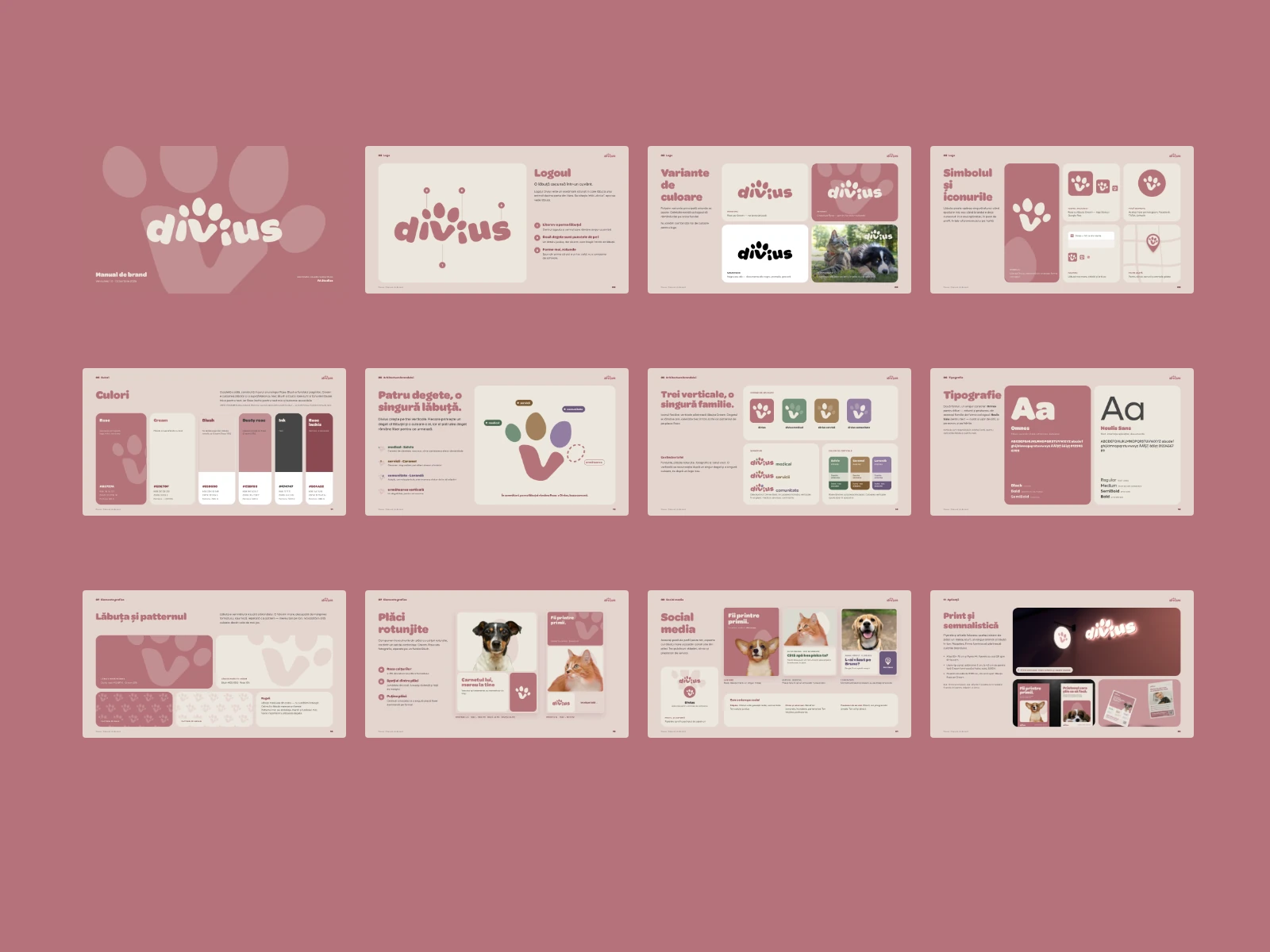 Twelve spreads from the 27-page Divius brand book on dusty rose: cover, logo, colour variants, symbol, colours, architecture, verticals, typography, pattern, plates, photography and social media.