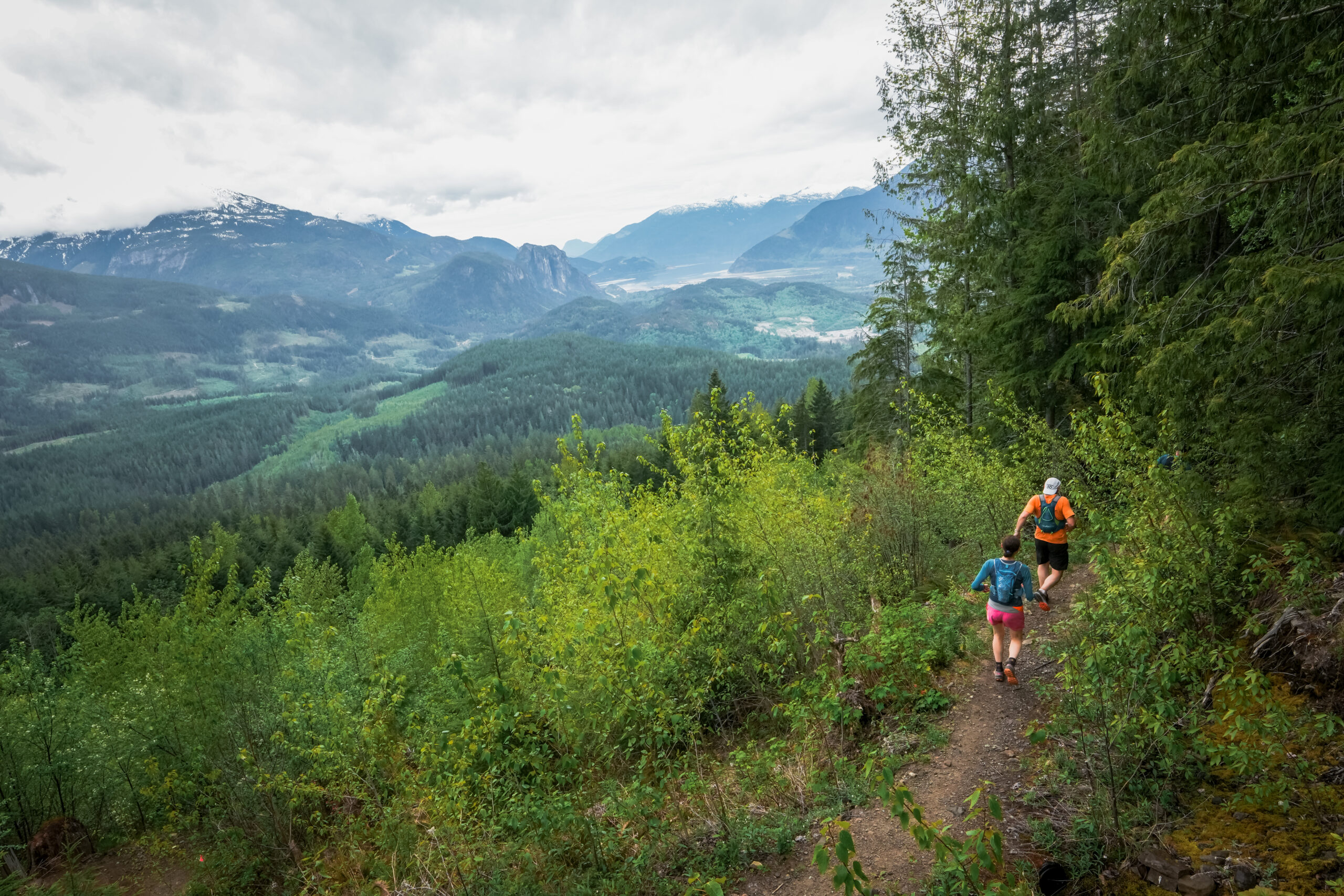 Survival of the Fittest 2026