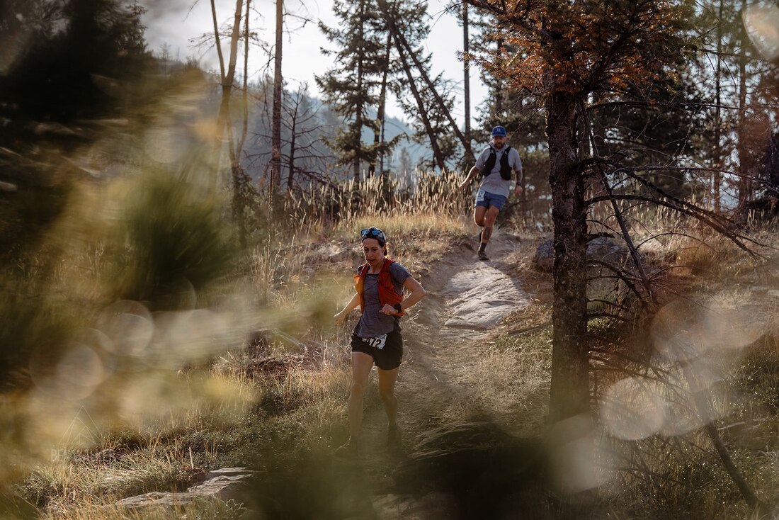 Wandering Moose 12k, 25k, 35k 2026