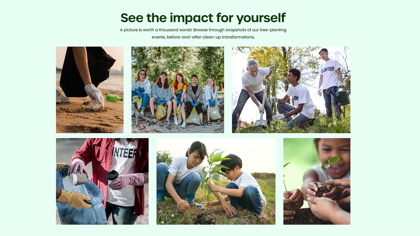 Ecoroots environmental and clean up intiatives