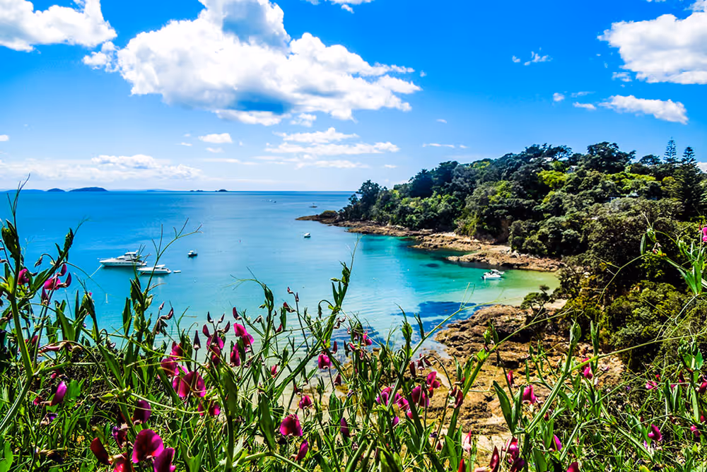 Waiheke, New Zealand